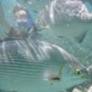 Meet your Posher, Leslie